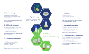 Phyton Biotech Plant Cell Fermentation Process Infographic